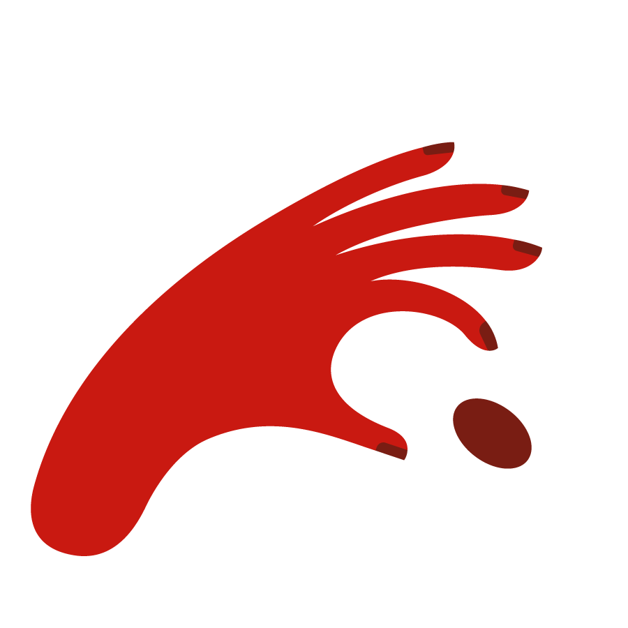 Carrack chocolat - redécouvrez le chocolat