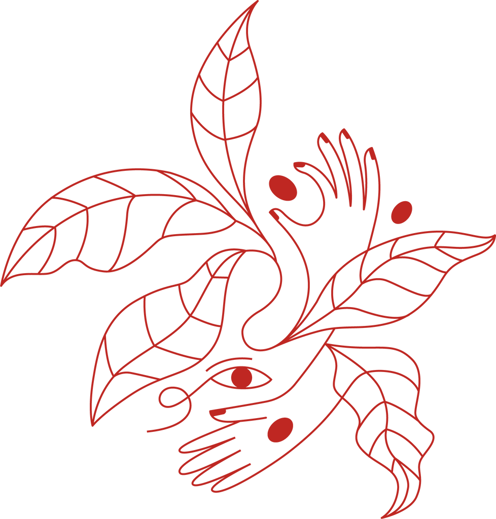 carrack chocolat – Carrack